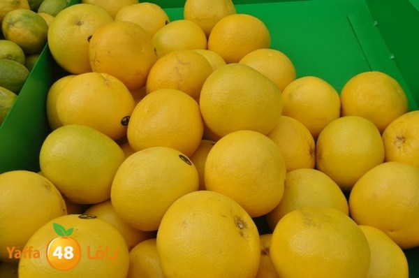 souq yaffa 0123 (15).JPG